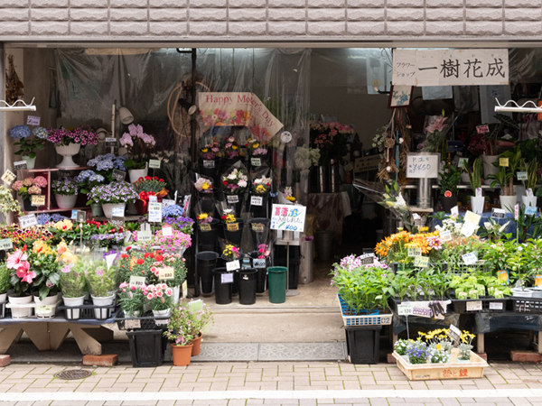 フラワーショップ樹花成